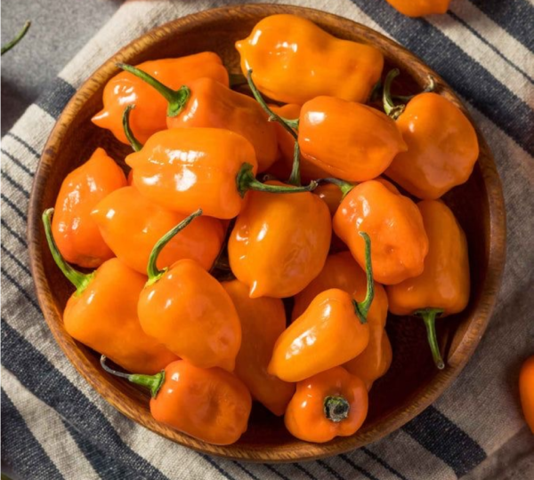 Habanero