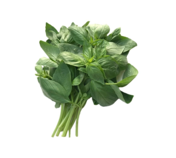 Basil