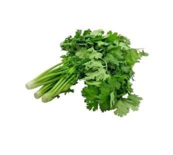 Coriander