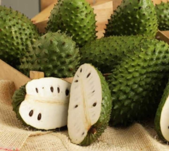 Soursop